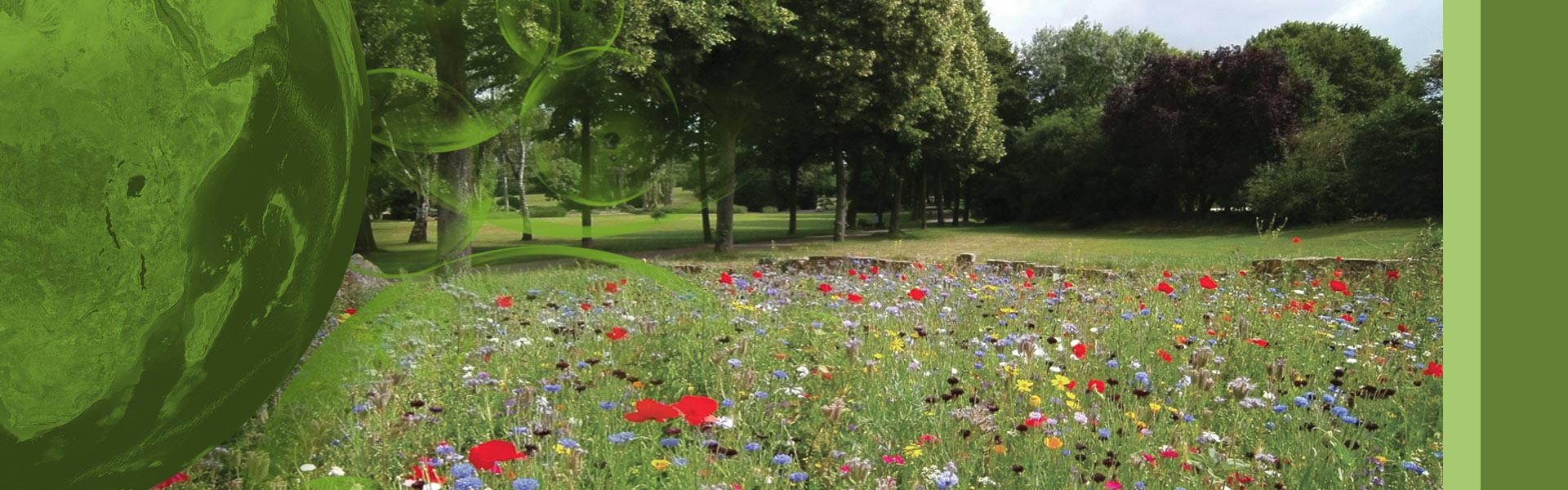 Manutenzione aree verdi